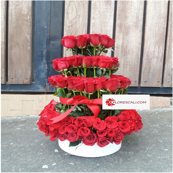 Circulo de Amor Rosas En Cali