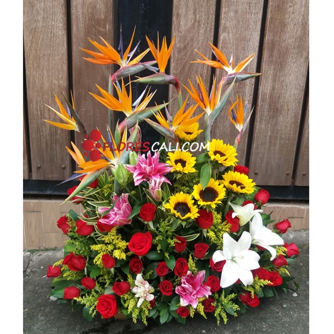 Flores Rojas con Amor en Cali