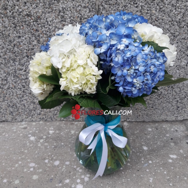 Jarrón de hortensias en cali