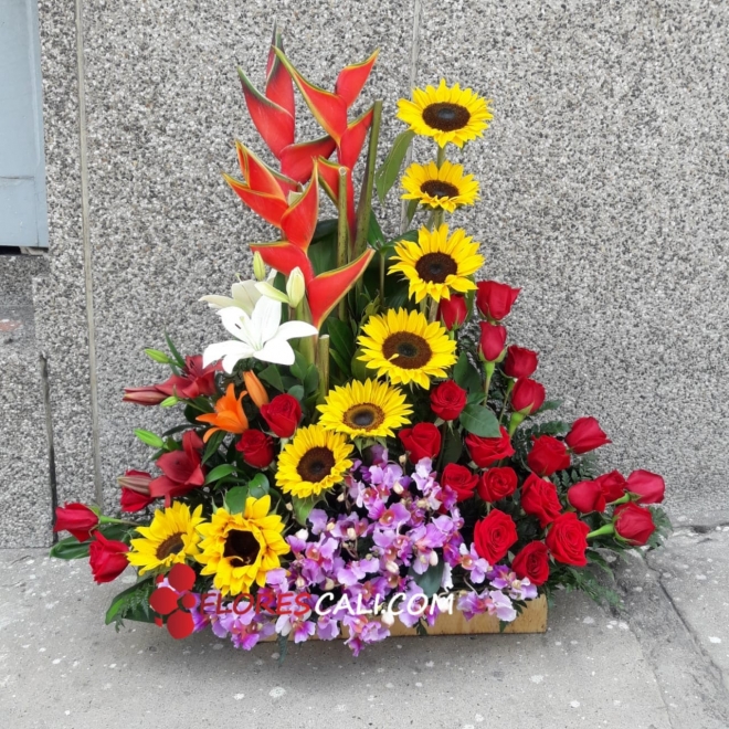 Ramo especial mi encanto floral en Cali  Amor y Amistad