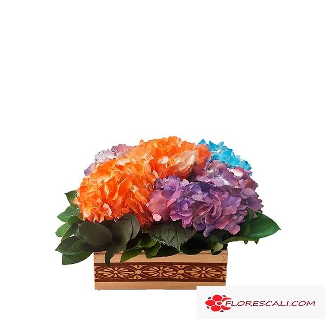 Hortensias multicolores flores en cali