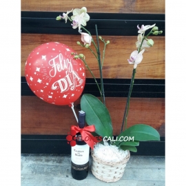 Orquídea en matera Flores cali