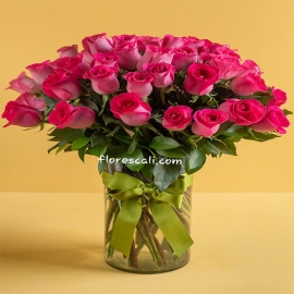 Rosas Fuscias en Cali