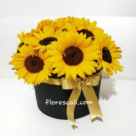 Girasol Para Admirarte flores en cali Dia de la Madre 